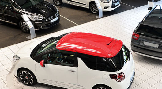 ceo of gamautos image